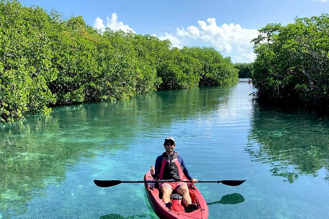 Paddleboard Kayak Tour in Cancun - What Makes This Tour Stand Out in Cancun