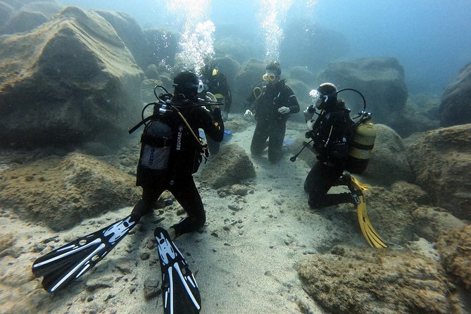PADI Open Water Course in Costa Adeje - Dive Sites and Marine Encounters in Tenerife