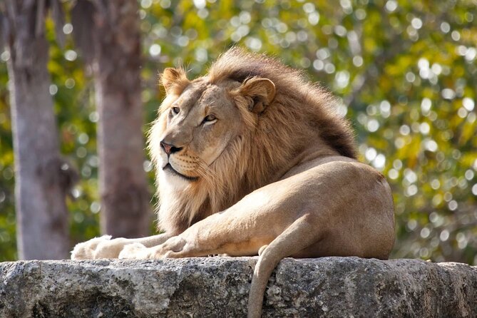 Pafos Zoo Visit & Blue Lagoon Cruise with Local Guide Limassol - Scenic Boat Trip to the Blue Lagoon from Latchi Harbour