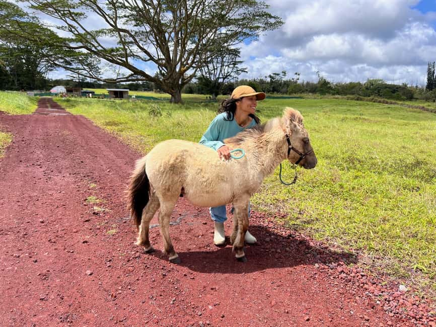 Pahoa: Ranch Tour with Animal Feedings and Interactions - The Unique Setting of Ola Nani Ranch in Pahoa