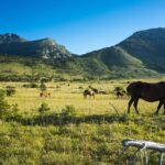 Paklenica National Park Admission Ticket - The Unique Natural Features of Paklenica National Park