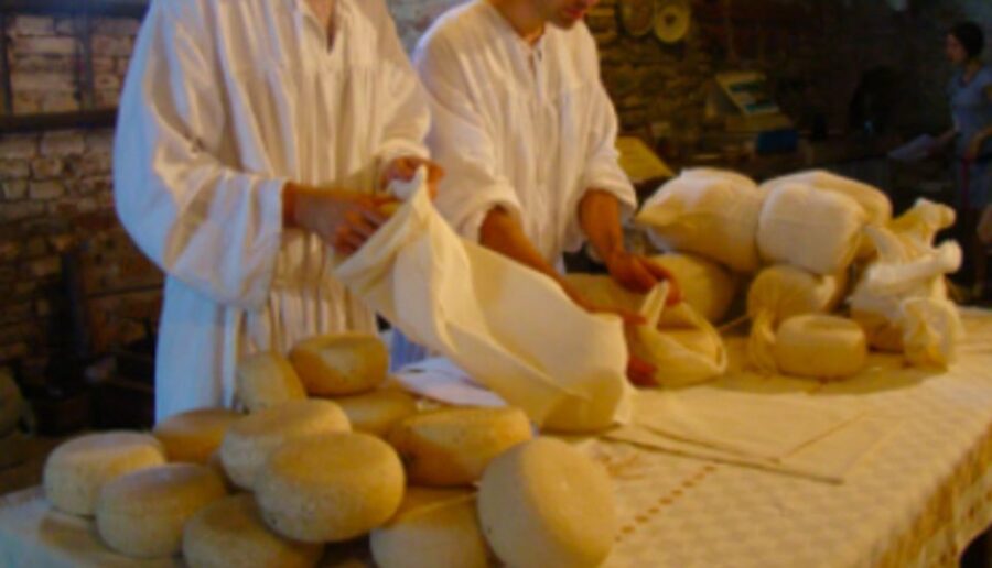 Palazzolo Acreide: Ricotta Cheese and Farm Tour with Tasting - Meeting Point and Practical Details in Palazzolo Acreide