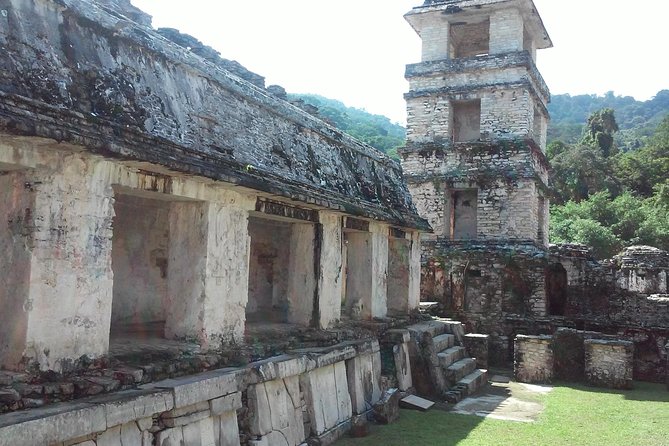Palenque Archaeological Zone Day Trip from Villahermosa - Exploring the Palenque Ruins with a Local Guide