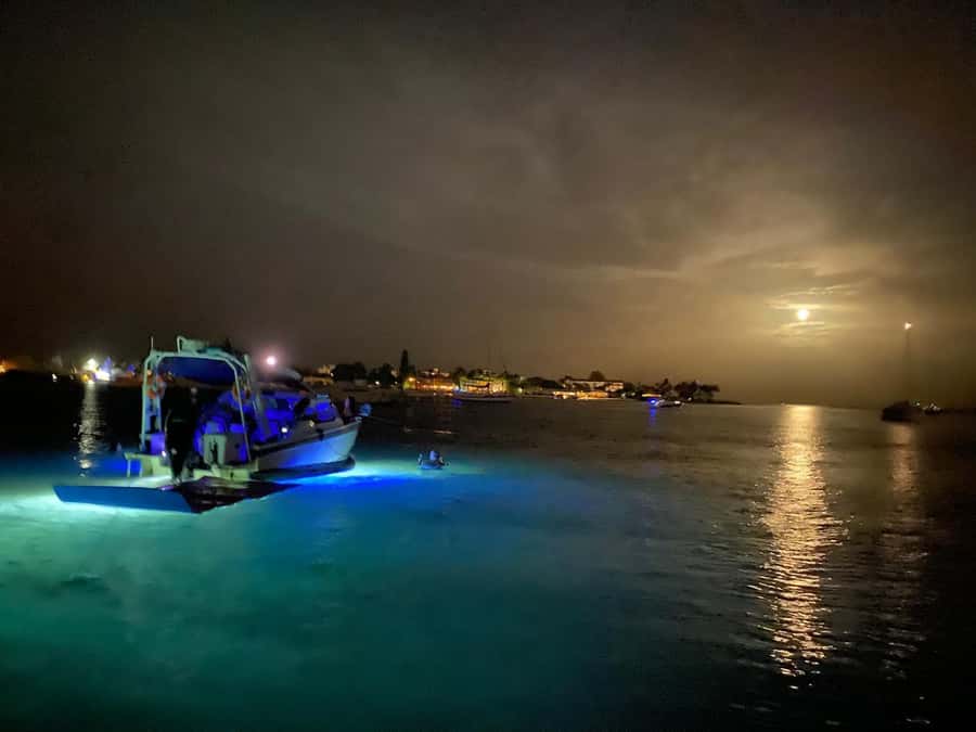 Palm Beach Luxury Day Boat Cruises - Exclusive Access to Palm Beach and Boca Raton Waters