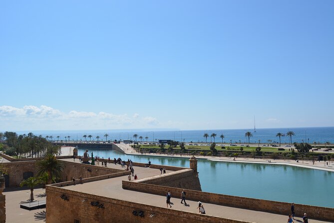 Palma de Mallorca Easy Bike Tour - Panoramic Views from Es Baluard Museu dArt Modern i Contemporani