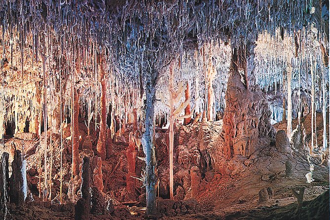 Palma de Mallorca Half-Day to Caves of Hams, Blue Cave and film - The Marvel of the Caves of Hams in Porto Cristo