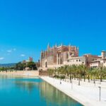 Palma de Mallorca Must-See Attractions Walking Tour With A Guide - Vibrant Atmosphere at Placa de Cort and the Olive Tree