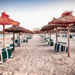 Palmanova: The lovely Magical Creatures, family and fun game - Exploring Palmanova with Magical Creatures