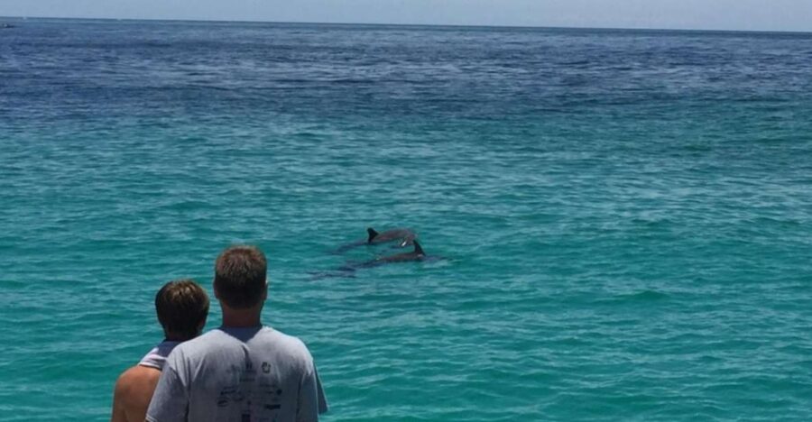 Panama City Beach: Dolphin Sightseeing Trip by Catamaran - Setting Sail on the Footloose Catamaran Along Panama City Beach and Shell Island