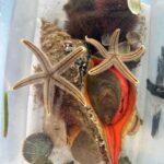 Panama City Beach: Snorkel Excursion with Good Jibez Only - Guided Snorkeling with Equipment and Educational Focus