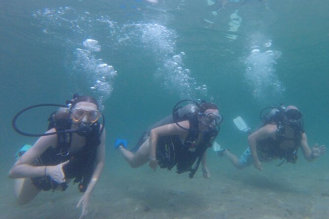Panama City Scuba Diving Activity for Beginners - Starting Point at St. Andrews State Park Jetties
