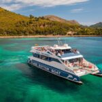 Panoramic Mallorca Boat Trip to Formentor Beach - A Closer Look at Formentor Beach and Its Natural Setting