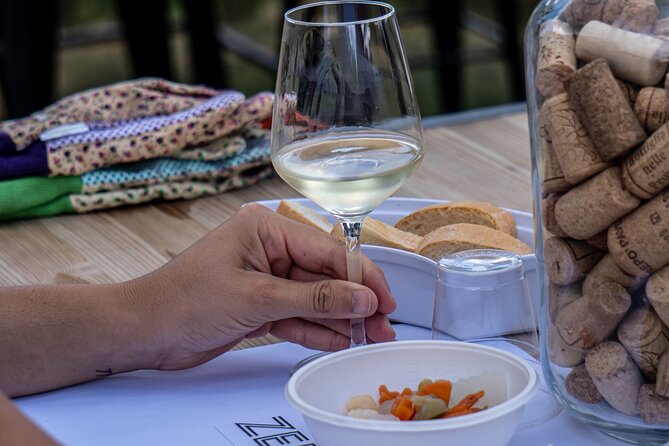 Panoramic wine tasting in Oltrepò Pavese - The Vineyard Walk and Scenic Views