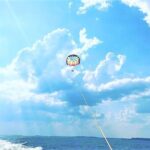Parasailing Adventure at the Hilton Head Island - Logistics and Meeting Details