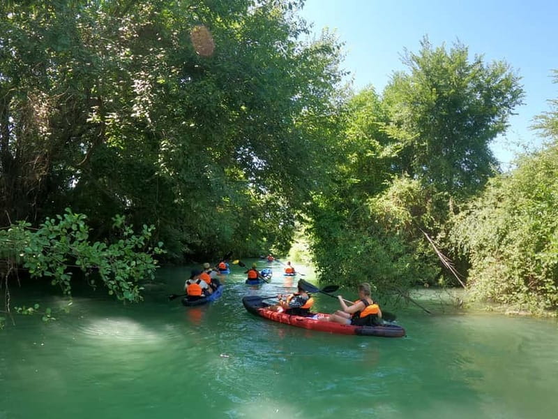 Parga: Acheron River Kayaking Adventure 5.5 km - From the Pickup to the River: Convenient and Organized Logistics