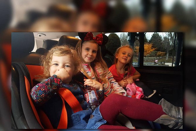 PARIS - Euro Disney (One Way) Private Shuttle Transfer - Departing from Paris with a Private Chauffeur