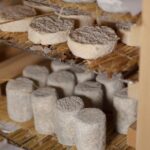 Paris Living Museum of Cheese Ticket with Tasting Included - Inside the Musée Vivant du Fromage