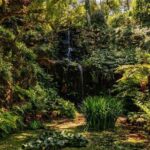 Park and Palace of Monserrate - Discovering Monserrates Romantic Architecture