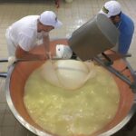 Parma Food Valley Gourmet Private Tour Easy - Starting Point and Tour Schedule in Parma