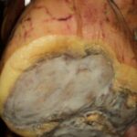 Parmigiano Reggiano and Parma ham tour - Visiting Parma’s Cheese Factory for Parmigiano Reggiano Insights