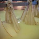Parmigiano Reggiano Cheese Factory Tour & Tasting Experience - Visiting the Dairy Farm and Cow Barns in Reggio Emilia