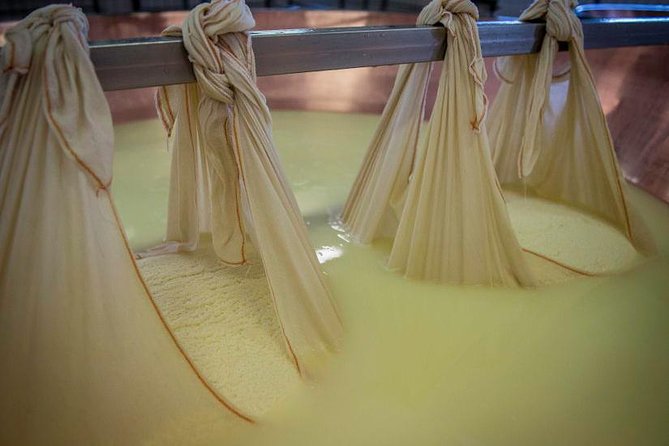 Parmigiano Reggiano Cheese Factory Tour & Tasting Experience - Visiting the Dairy Farm and Cow Barns in Reggio Emilia