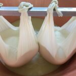 Parmigiano-Reggiano Tour and tastings - The Step-by-Step Cheese-Making Process