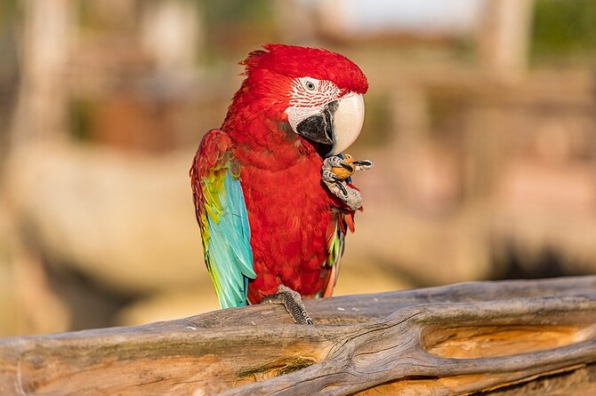 Parrot World Immersive Wildlife Park Entry Ticket next to Paris - Inside Europe’s Largest Aviary