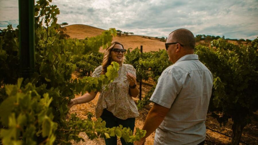 Paso Robles: The Luxe Wine Trail Excursion - Visiting Three Top Paso Robles Wineries