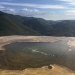 Paths of Mezcal - Santa Maria del Tule: Witnessing the Thicket’s Wonder