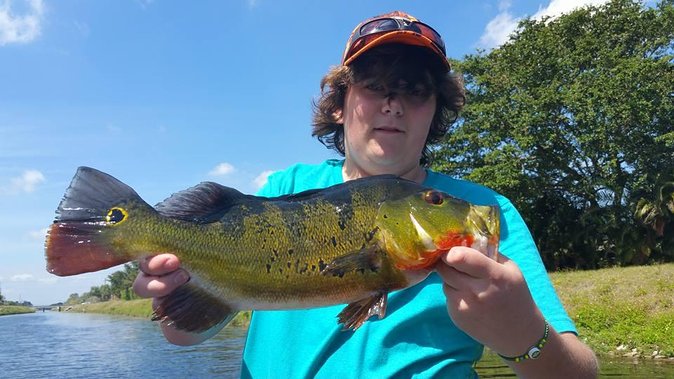 Peacock Bass Fishing Trips Near Key Largo - Exploring the Aerojet Canal System’s Rich Waters