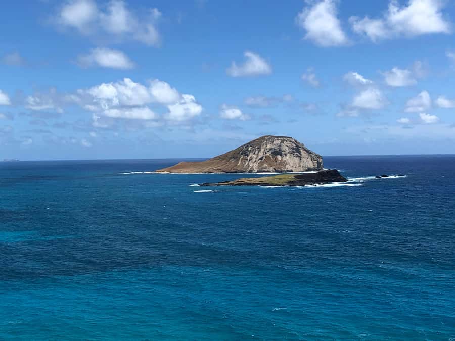 Pearl Harbor and Scenic Oahu Private Tour - Starting Your Day with a Warm Aloha and Pearl Harbor