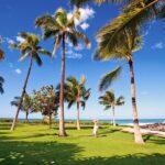 Pearl Harbor History Remembered Tour from Ko Olina - Pickup from Ko Olina and Transportation by Mini-Coach