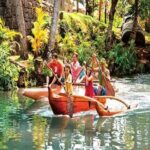 Pearl Harbor & Mini Circle Island from Maui - Starting Point and Timing: Early Morning Departure from Honolulu Airport