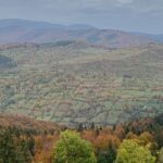 Peles castle and authentic Romanian village experience - day trip - The History and Beauty of Peles Castle