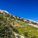 Peljesac Wine & Ston Oysters PRIVATE HALF DAY SHORE TOUR - Exploring Mali Ston with Local Fisherman Mario
