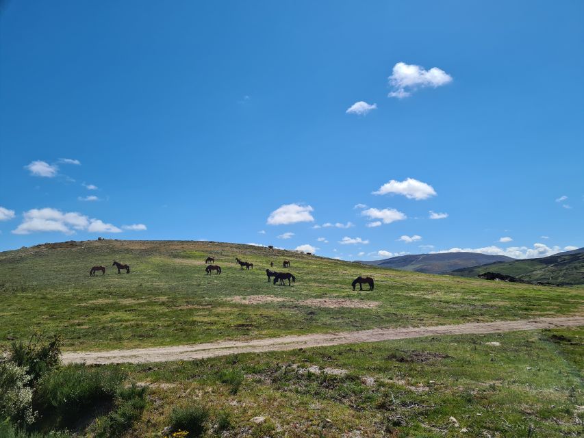 Peneda Gerês National Park: Self-Guided Electric Bike Tour - Exploring Ermelo and its Monastery