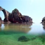 Peniche: Berlengas Island Catamaran Tour + Snorkeling - Comparing Similar Tours and Options