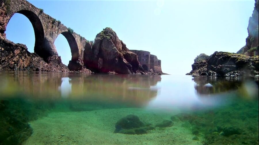 Peniche: Berlengas Island Catamaran Tour + Snorkeling - Comparing Similar Tours and Options