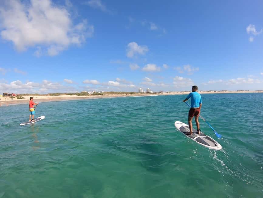 Peniche: SUP Wave Lesson - The Expertise and Approach of the SUP Instructor