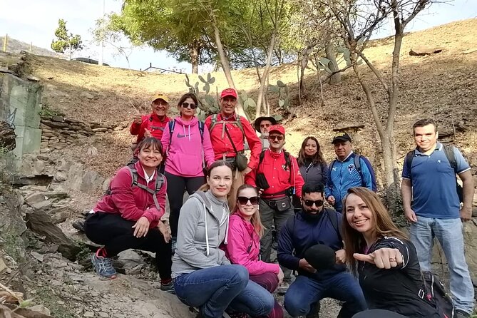 Pet friendly hiking in Cerro del Chupón - What the Trail Looks Like and What You’ll See