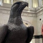 Philadelphia: Movie and Television Sites Guided Walking Tour - Meeting Point and Tour Logistics