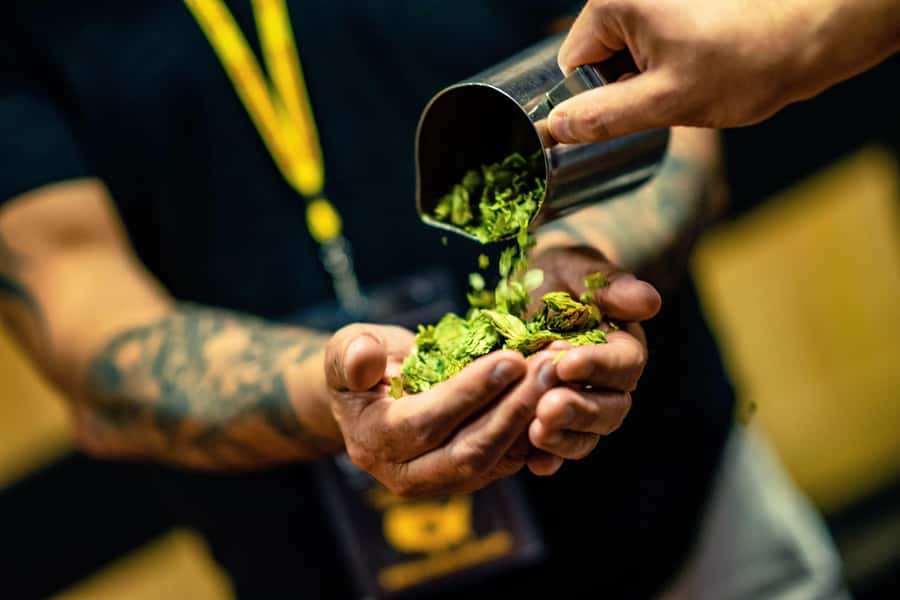 Phoenix: Sip, Stroll, and Discover Phoenixs Best Brews - Exploring Roosevelt Phoenix on Foot