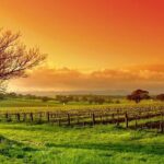 Phoenix Vortex to Vineyard Shared Tour - Exploring Sedona’s Vortex Energy Sites