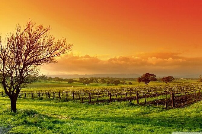 Phoenix Vortex to Vineyard Shared Tour - Exploring Sedona’s Vortex Energy Sites