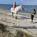 Photo Session With Horses on The Beach or in The Countryside - The Setting: Portugal’s Scenic Beach and Countryside