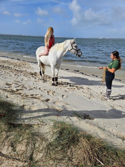 Photo Session With Horses on The Beach or in The Countryside - The Setting: Portugal’s Scenic Beach and Countryside