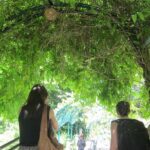 Photograph with a pro Paris off the beaten path! - Scenic Viewpoints and Iconic Paris Landscapes