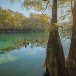 Photography Adventure to Capture Stunning Landscapes - Exploring the Natural Springs and Beaches of Panama City Beach