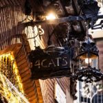 Picasso Museum and Walking Tour Plus Optional Wine & Food Tasting - The Optional Wine & Food Tasting at Vila Viniteca